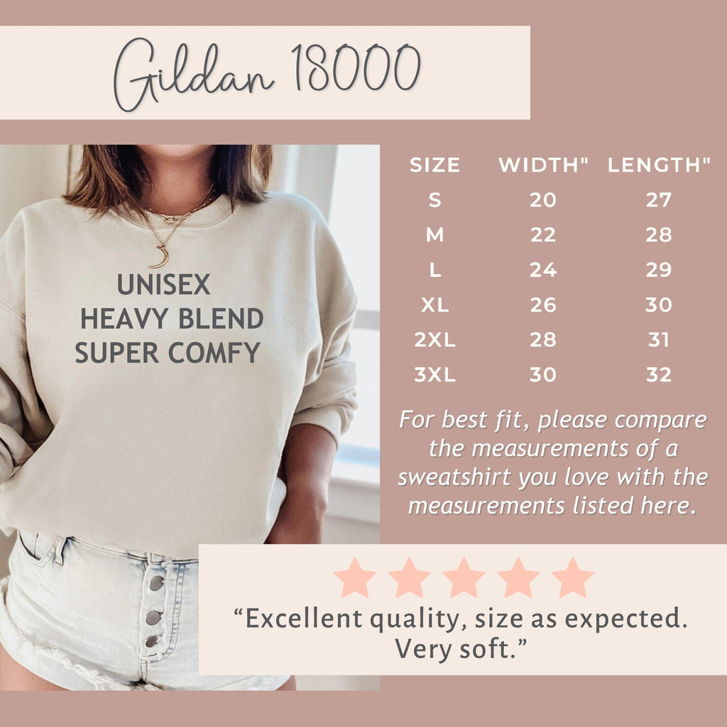 17th Birthday Sweatshirt Chapter 17 Roman Numeral Sweatshirt 17th Birthday Gift 17th Birthday Girl Shirt Gifts for 17 Year Old Teenage Girl