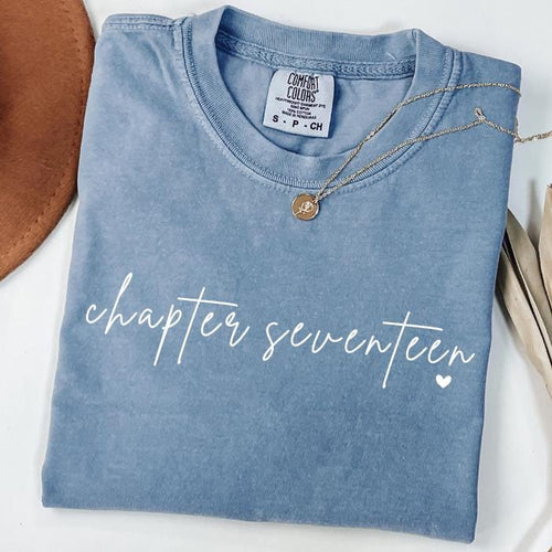 17th Birthday Shirt: Chapter 17 Comfort Colors Tee, Gifts For 17 Year Old Girl, Seventeen Gifts For Teenage Girls, Book Lover Gift For Her