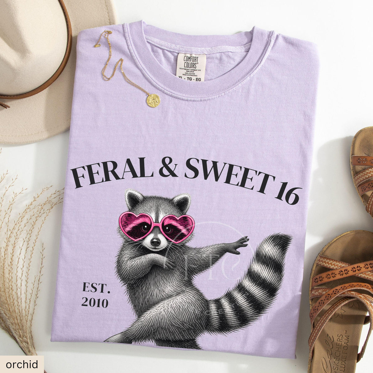 Feral Sweet 16 Shirt, Funny Sweet Sixteen Gift, Raccoon Birthday Shirt, Comfort Colors Tee, Cute Teen Girl 16th Birthday Shirt