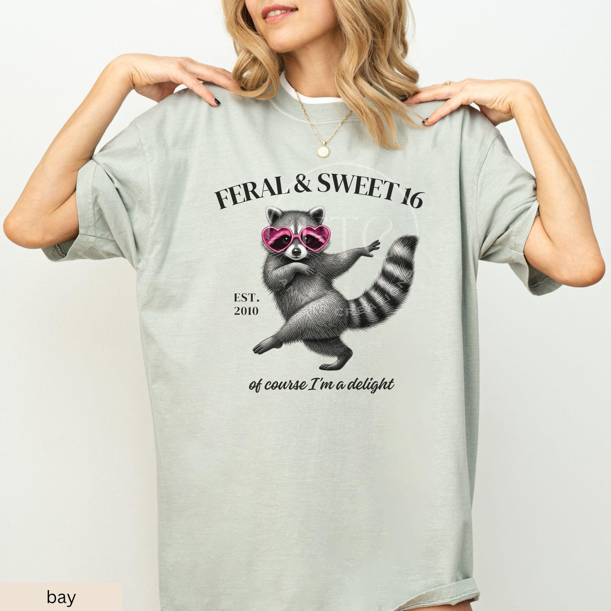 Feral Sweet 16 Shirt, Funny Sweet Sixteen Gift, Raccoon Birthday Shirt, Comfort Colors Tee, Cute Teen Girl 16th Birthday Shirt