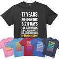 17th Birthday Countdown Shirt, 17 Year Old Birthday T-Shirt, Personalized Age Tee